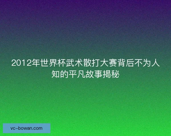 2012年世界杯武术散打大赛背后不为人知的平凡故事揭秘