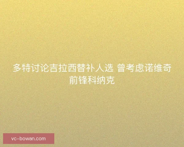 多特讨论吉拉西替补人选 曾考虑诺维奇前锋科纳克 多特讨论吉拉西替补人选 曾考虑诺维奇前锋科纳克