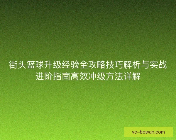 街头篮球升级经验全攻略技巧解析与实战进阶指南高效冲级方法详解